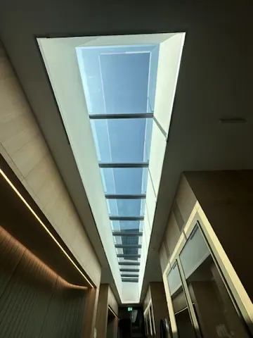 World Economic Forum – Solar Film Protect UV — 6