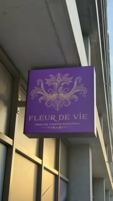 FLEUR DE VIE – Caisson lumineux — 2