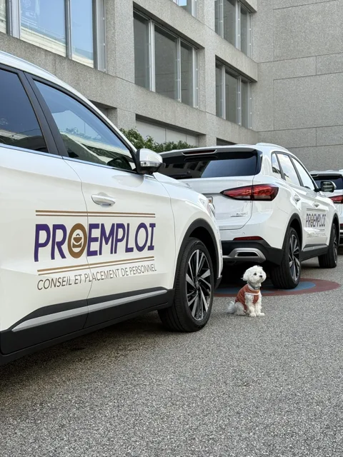 PRO EMPLOIE — 4